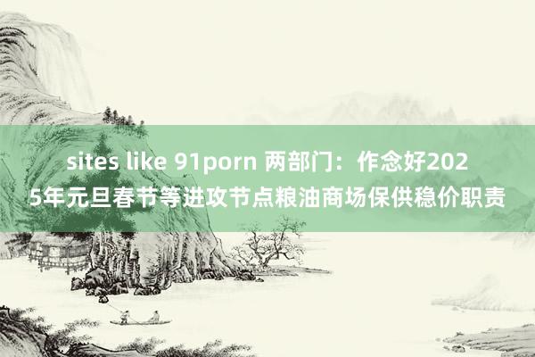 sites like 91porn 两部门：作念好2025年