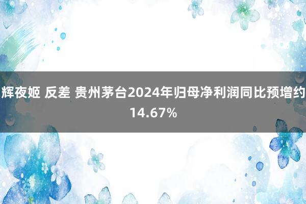 辉夜姬 反差 贵州茅台2024年归母净利润同比预增约14.67%