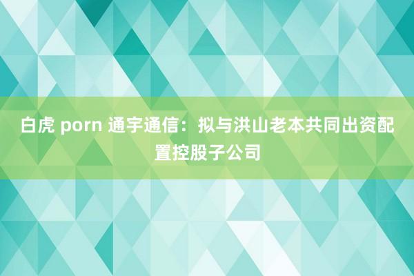 白虎 porn 通宇通信：拟与洪山老本共同出资配置控股子公司