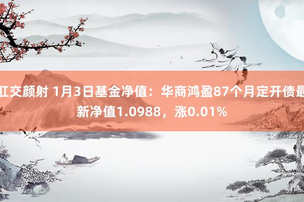 肛交颜射 1月3日基金净值：华商鸿盈87个月定开债最新净值1.0988，涨0.01%