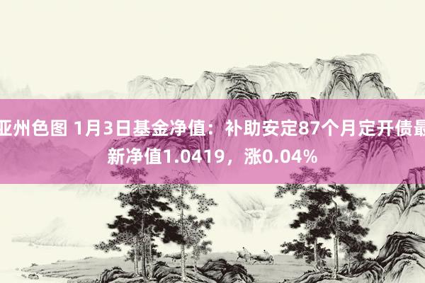 亚州色图 1月3日基金净值：补助安定87个月定开债最新净值1.0419，涨0.04%