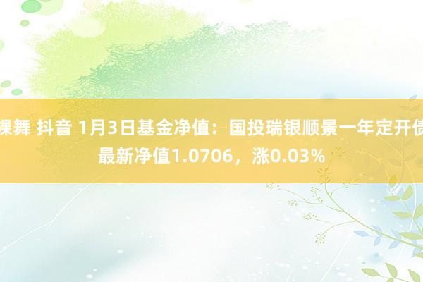 裸舞 抖音 1月3日基金净值：国投瑞银顺景一年定开债最新净值1.0706，涨0.03%