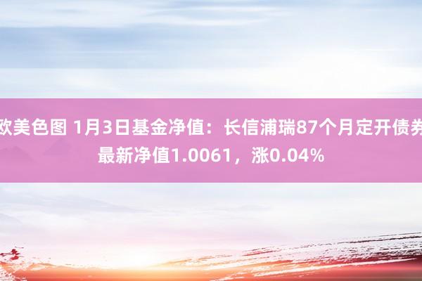 欧美色图 1月3日基金净值：长信浦瑞87个月定开债券最新净值1.0061，涨0.04%