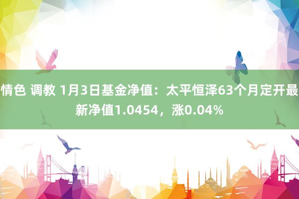 情色 调教 1月3日基金净值：太平恒泽63个月定开最新净值1