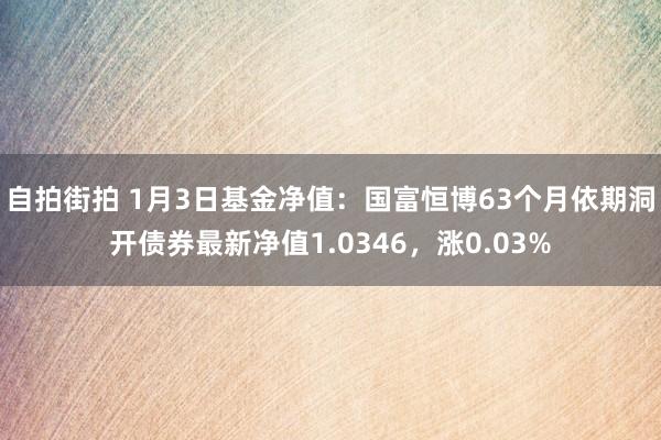 自拍街拍 1月3日基金净值：国富恒博63个月依期洞开债券最新