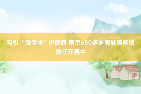 勾引 “脱手术”护健康 南京650多岁明城墙修缮责任开展中