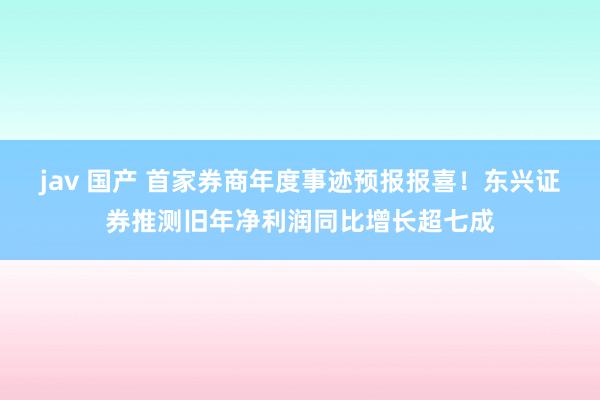 jav 国产 首家券商年度事迹预报报喜！东兴证券推测旧年净利