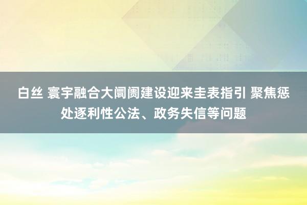 白丝 寰宇融合大阛阓建设迎来圭表指引 聚焦惩处逐利性公法、政