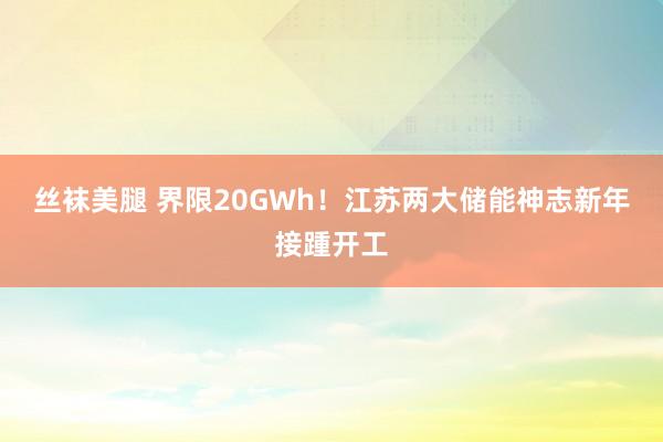 丝袜美腿 界限20GWh！江苏两大储能神志新年接踵开工