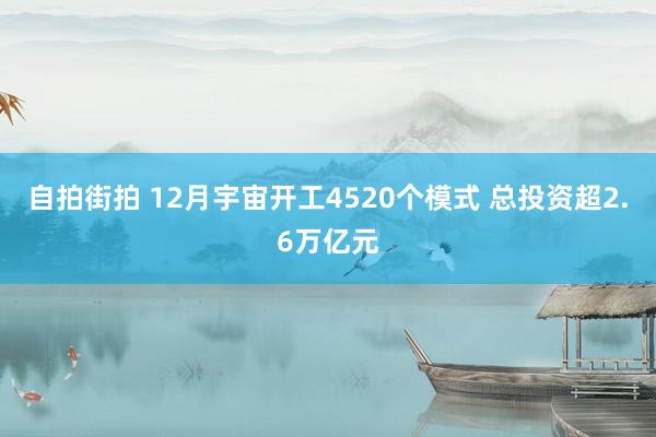 自拍街拍 12月宇宙开工4520个模式 总投资超2.6万亿元