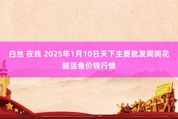 白丝 在线 2025年1月10日天下主要批发阛阓花鲢活鱼价钱