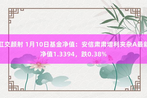 肛交颜射 1月10日基金净值：安信肃肃增利夹杂A最新净值1.3394，跌0.38%