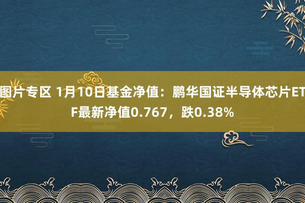 图片专区 1月10日基金净值：鹏华国证半导体芯片ETF最新净