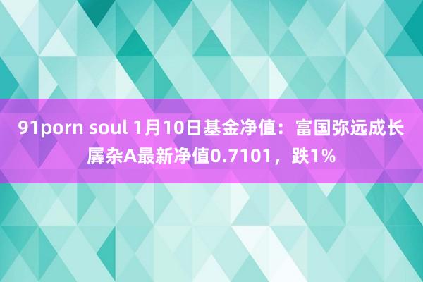 91porn soul 1月10日基金净值：富国弥远成长羼杂A最新净值0.7101，跌1%