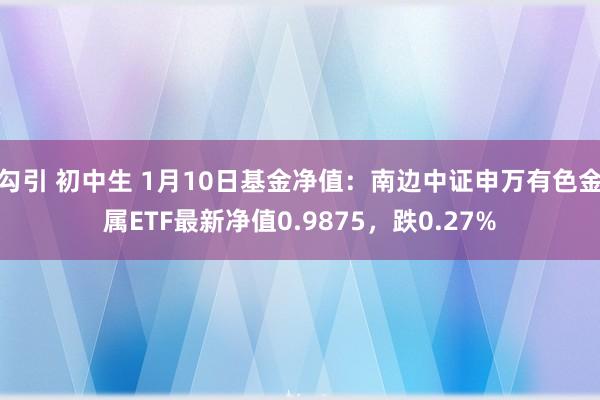 勾引 初中生 1月10日基金净值：南边中证申万有色金属ETF最新净值0.9875，跌0.27%