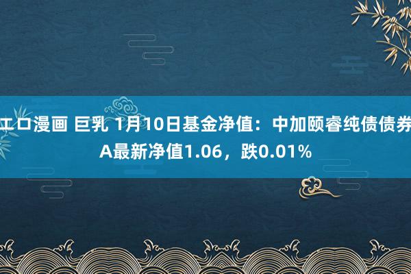 エロ漫画 巨乳 1月10日基金净值：中加颐睿纯债债券A最新净值1.06，跌0.01%