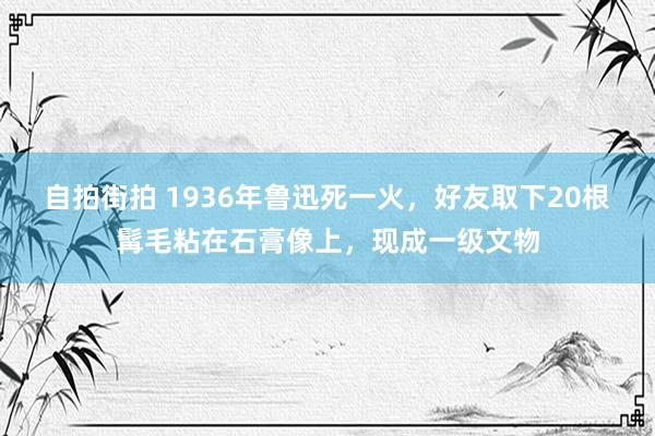 自拍街拍 1936年鲁迅死一火，好友取下20根髯毛粘在石膏像上，现成一级文物