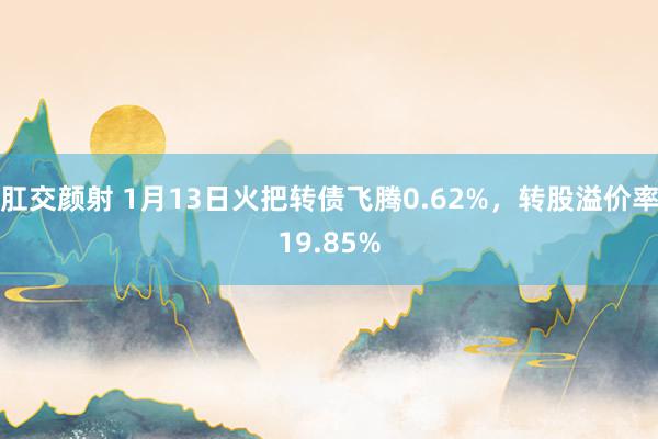 肛交颜射 1月13日火把转债飞腾0.62%，转股溢价率19.85%