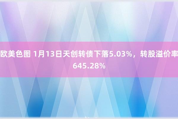 欧美色图 1月13日天创转债下落5.03%，转股溢价率645