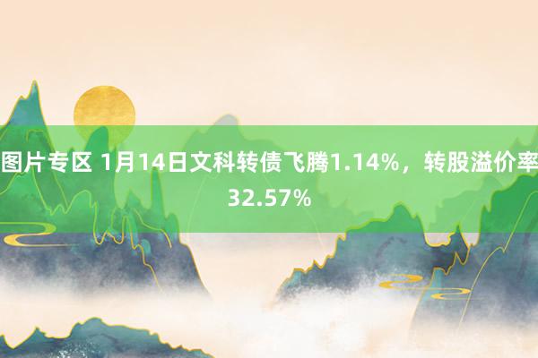 图片专区 1月14日文科转债飞腾1.14%，转股溢价率32.57%