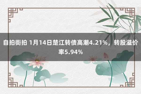 自拍街拍 1月14日楚江转债高潮4.21%，转股溢价率5.9