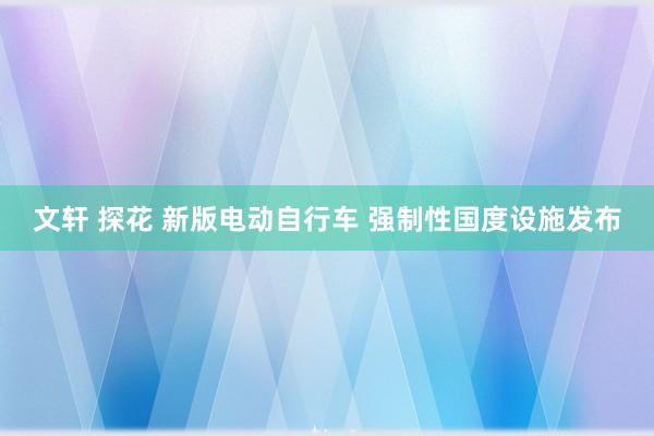 文轩 探花 新版电动自行车 强制性国度设施发布