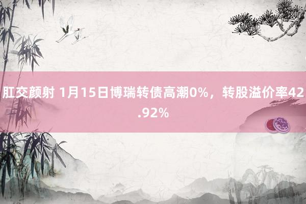 肛交颜射 1月15日博瑞转债高潮0%，转股溢价率42.92%