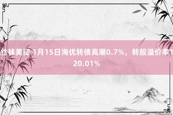 丝袜美腿 1月15日海优转债高潮0.7%，转股溢价率120.01%