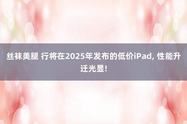 丝袜美腿 行将在2025年发布的低价iPad， 性能升迁光显!