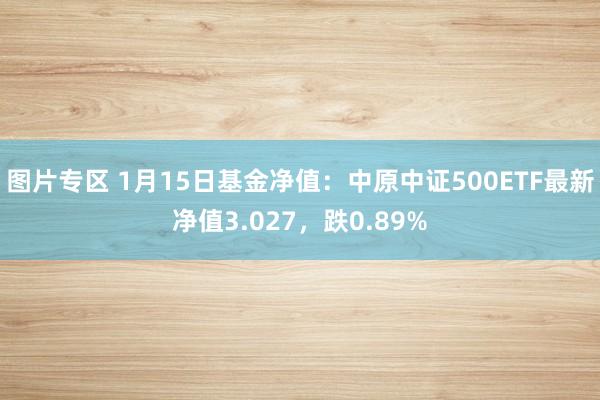 图片专区 1月15日基金净值：中原中证500ETF最新净值3